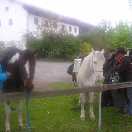 Zum Spaeth ホテル Englmannsberg
